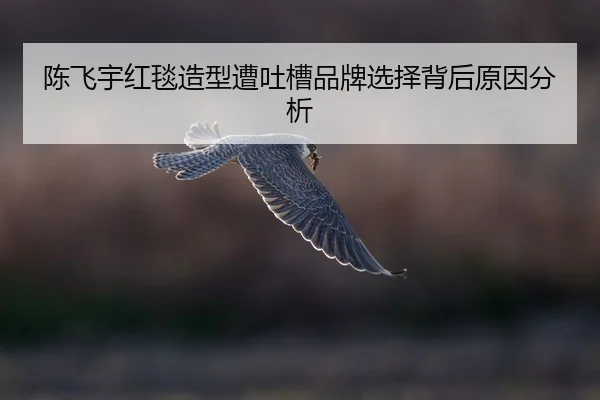 chen-fei-yu-hong-tan-zao-xing-zao-tu-cao-pin-pai-xuan-ze-bei-hou-yuan-yin-fen-xi-2-696.jpg